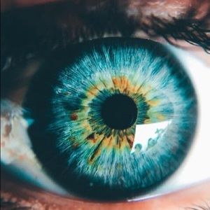 Meet your Posher, Margot